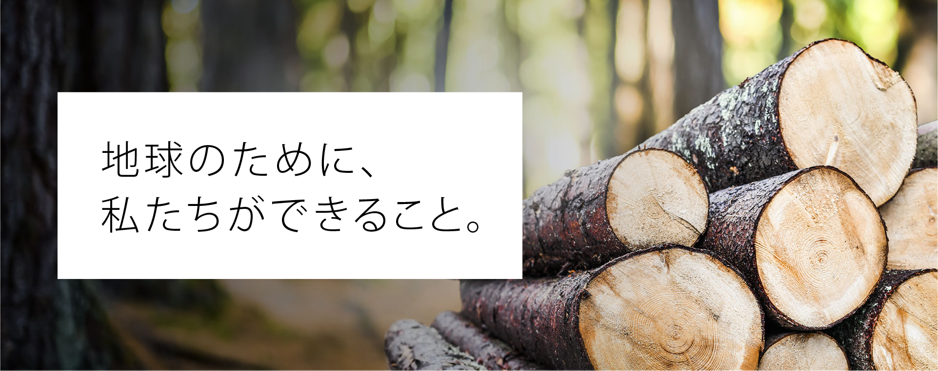 地球のために、私たちができること。