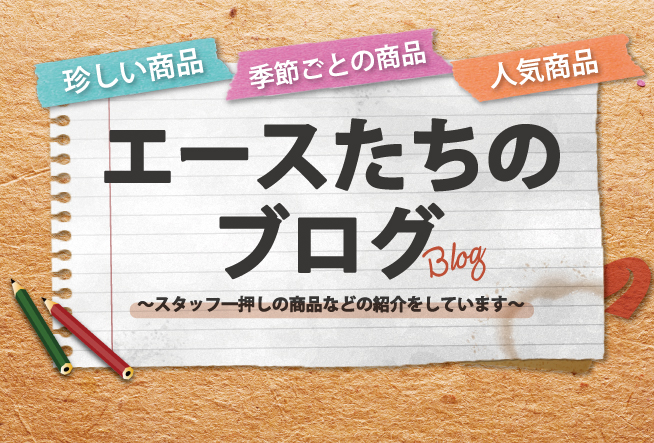 北野エース　ブログ書いています！(2月21日更新)