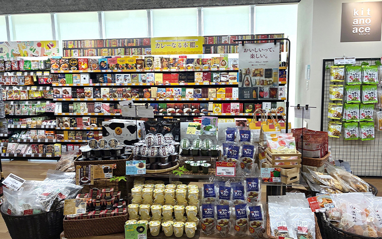 kit_ano_ace サッポロファクトリー店