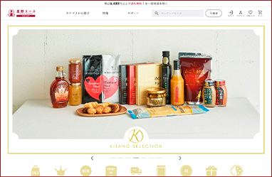 ECの展開 (BtoC)