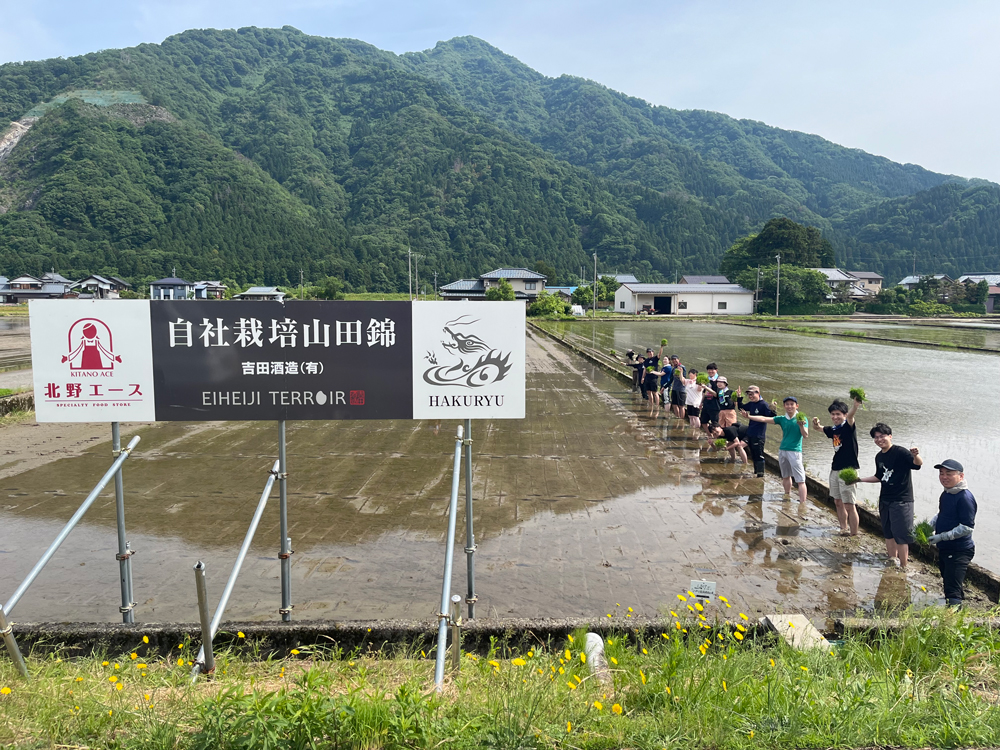 酒米の田植え体験