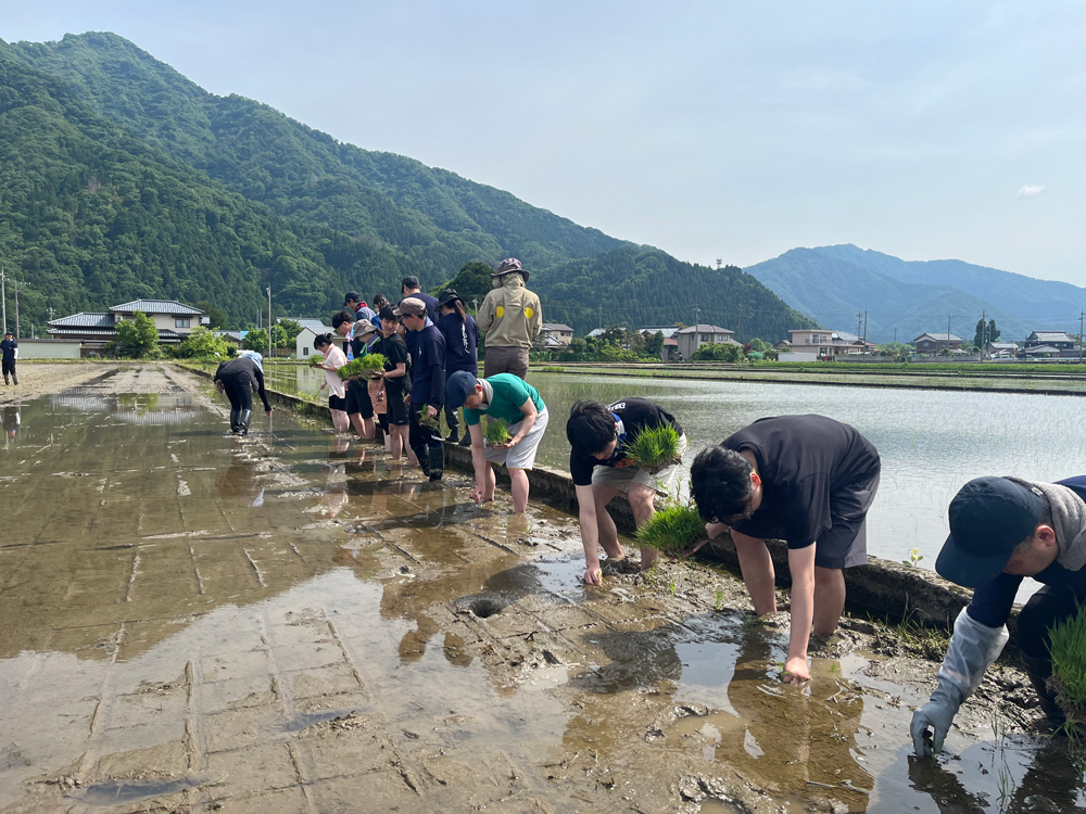 酒米の田植え体験