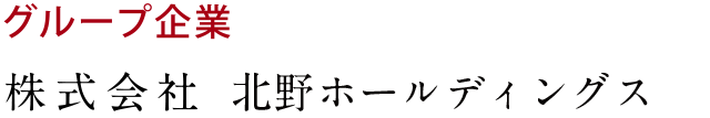 株式会社北野ホールディングス